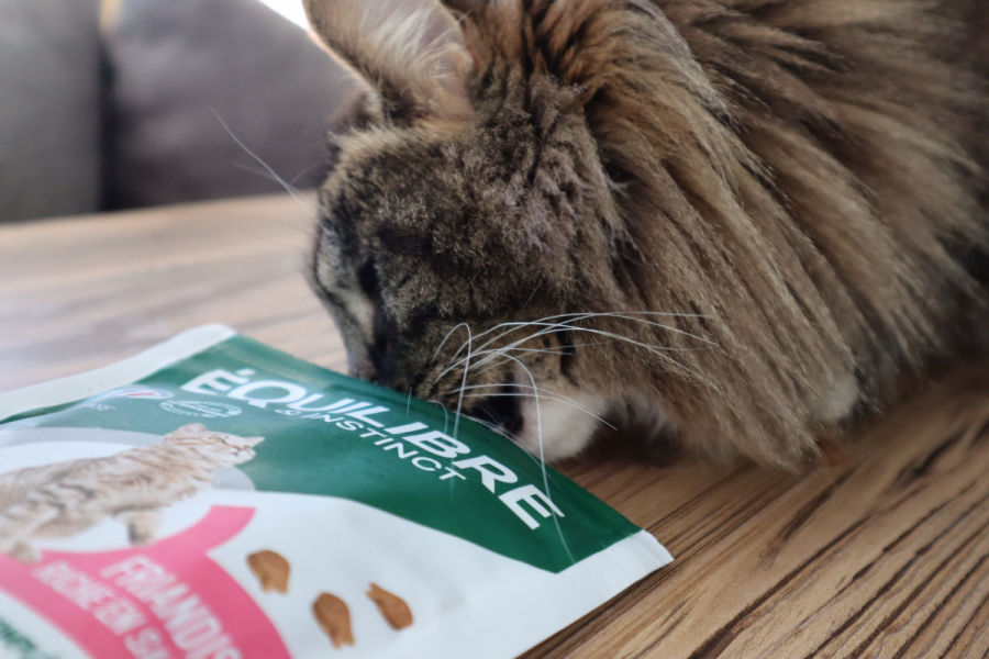 Customer photo review of Friandises riches en saumon (chat adulte)