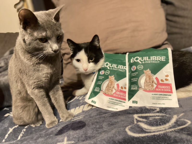 Customer photo review of Friandises riches en saumon (chat adulte)