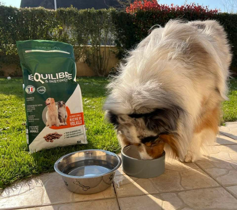 Customer photo review of Croquettes de volaille riches en ingrédients frais - Moy. / Grande taille (chien adulte)