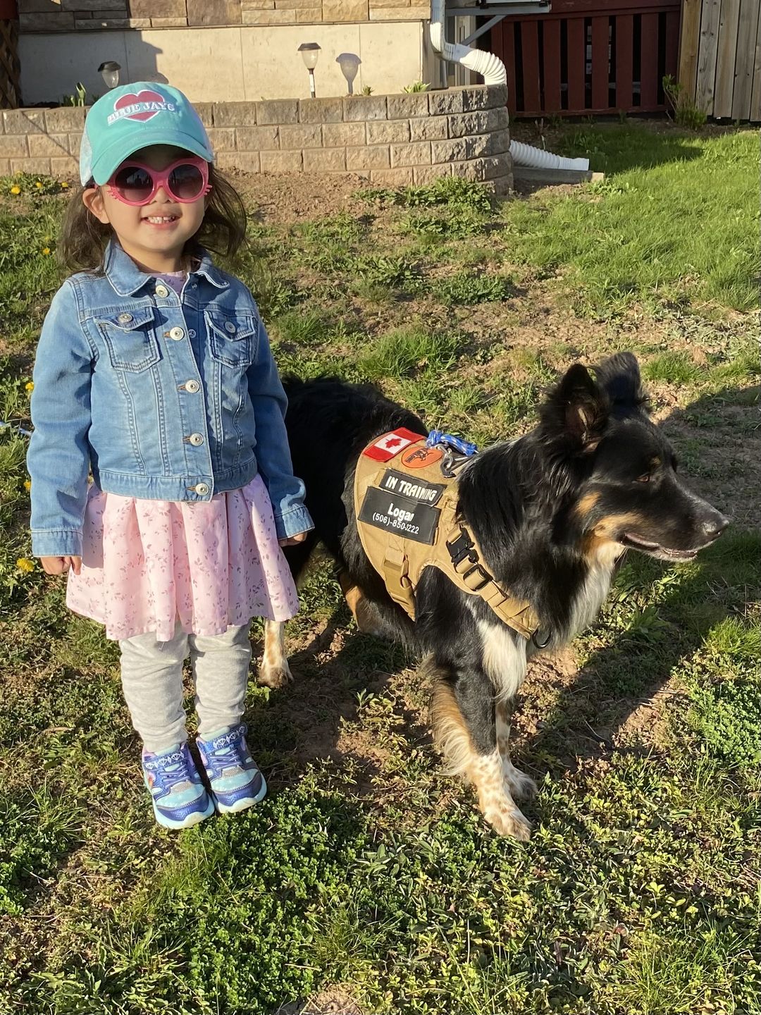 Customer photo review of Tactical No Pull Dog Harness v2