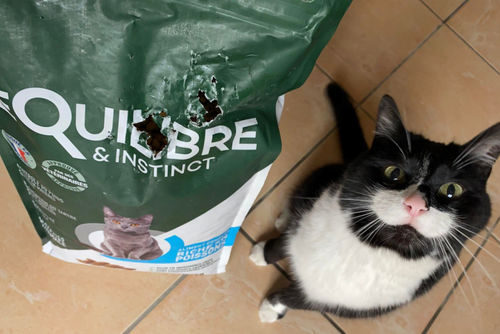 Customer photo review of Croquettes riches en poissons blancs frais (chat stérilisé)