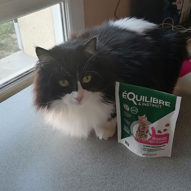 Customer photo review of Friandises riches en saumon (chat adulte)