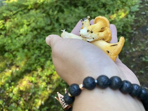 Customer photo review of Gold Crown with Lava Stones