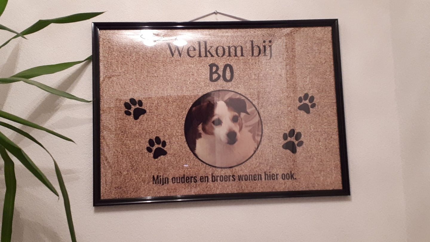 Customer photo review of Eigen foto - Gepersonaliseerde huisdier deurmat