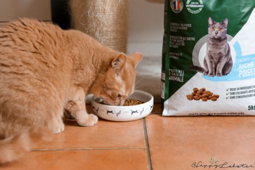 Customer photo review of Croquettes riches en poissons blancs frais (chat stérilisé)