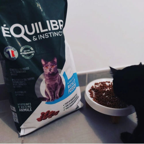 Customer photo review of Croquettes riches en poissons blancs frais (chat stérilisé)