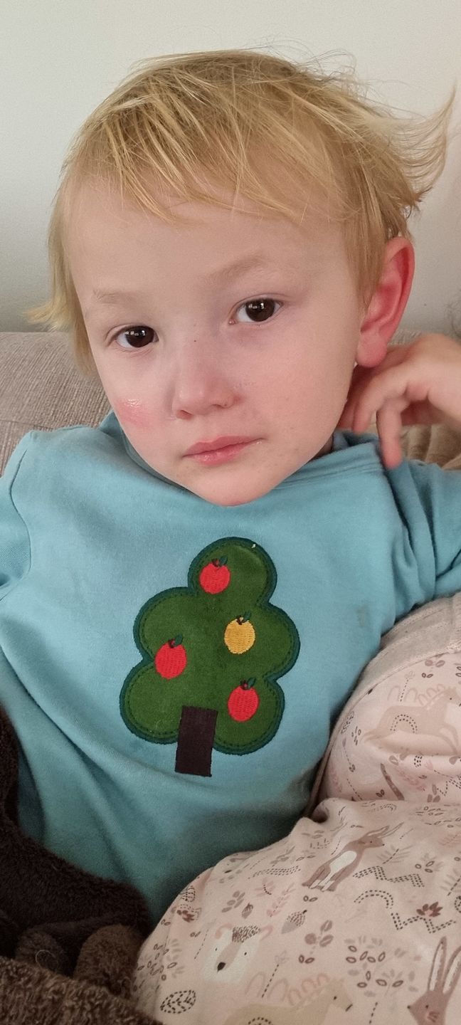 Customer photo review of Apple Tree Applique Long Sleeve T-Shirt
