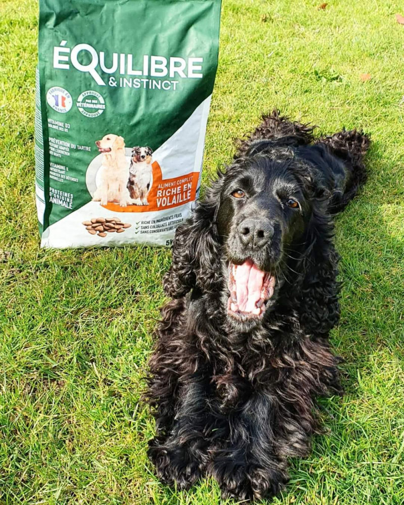 Customer photo review of Croquettes de volaille riches en ingrédients frais - Moy. / Grande taille (chien adulte)
