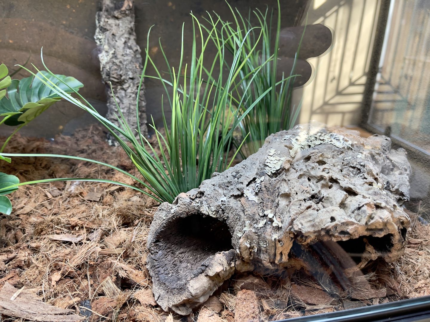 Customer photo review of Cork Bark Tubes