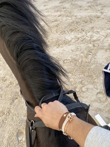 Customer photo review of Bracelet with Joined Rings & Crystals