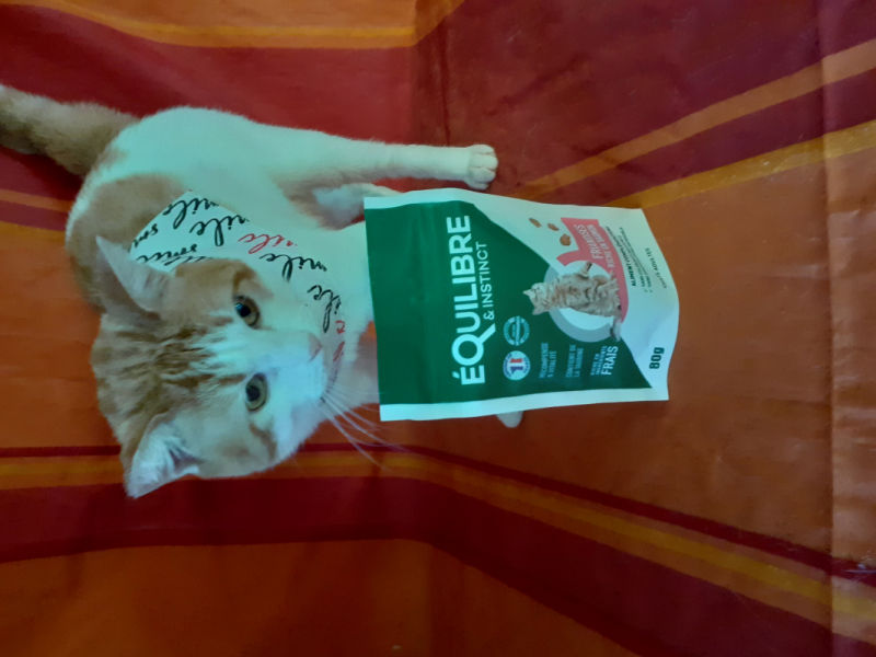 Customer photo review of Friandises riches en saumon (chat adulte)