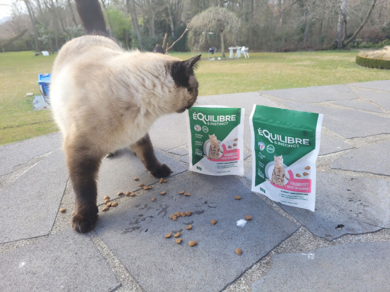 Customer photo review of Friandises riches en saumon (chat adulte)