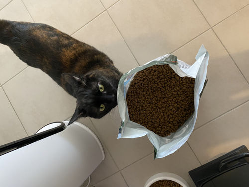 Customer photo review of Croquettes riches en poissons blancs frais (chat stérilisé)