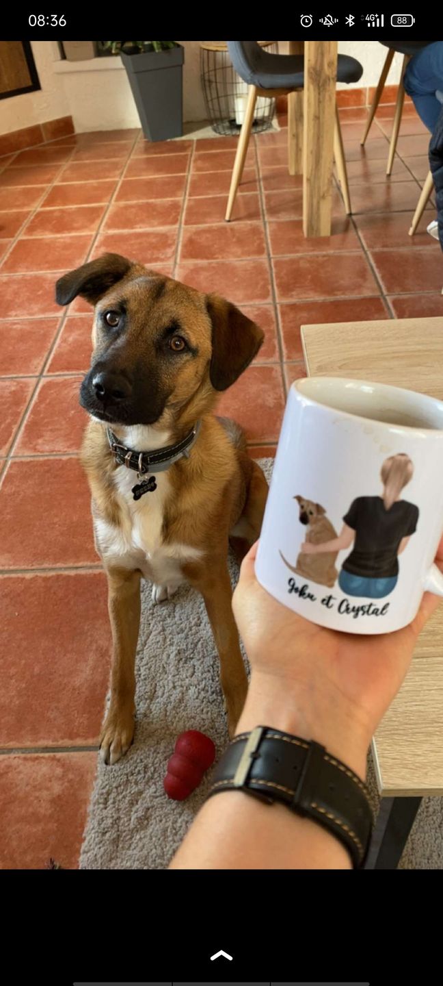 Customer photo review of Mug Personnalisé - Femme et Chien