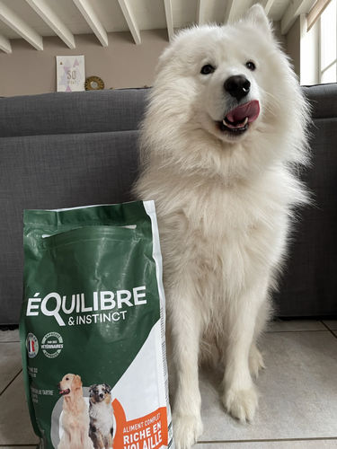 Customer photo review of Croquettes de volaille riches en ingrédients frais - Moy. / Grande taille (chien adulte)