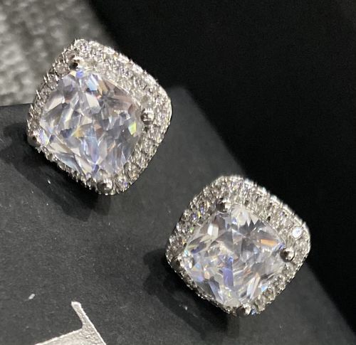 Customer photo review of Silver Timeless Earrings