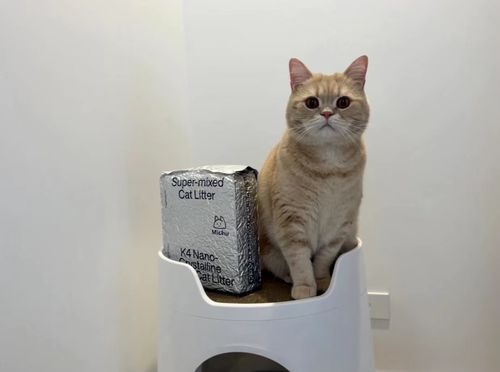 Customer photo review of Michu Mixed Tofu Cat Litter, Heavy Duty Flushable Kitty Litter