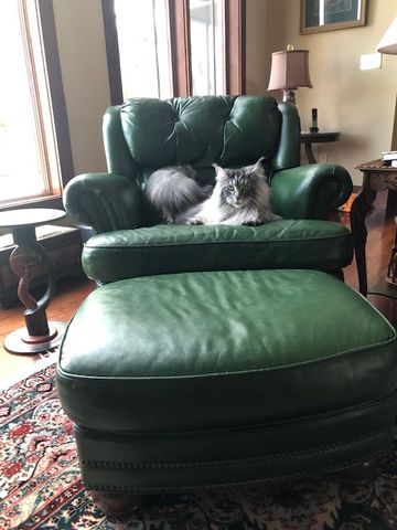 Customer photo review of Clyde’s Leather Recoloring Balm