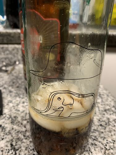 Customer photo review of ELEFANTE