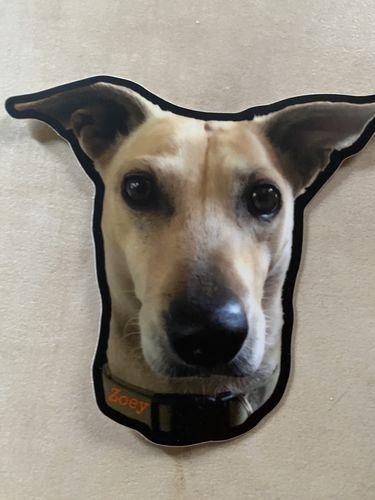 Customer photo review of 100 Custom 3" Laminated Vinyl Stickers