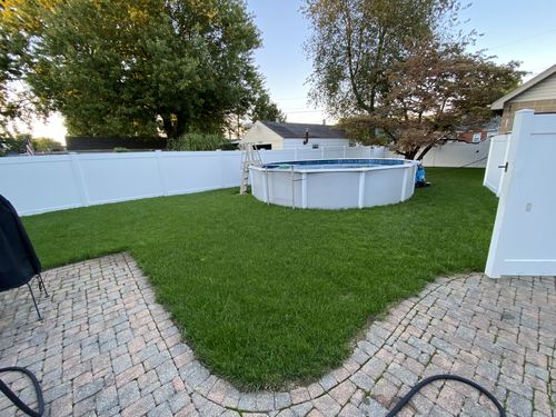 Customer photo review of GCI Turf Cool Blue Grass Seed