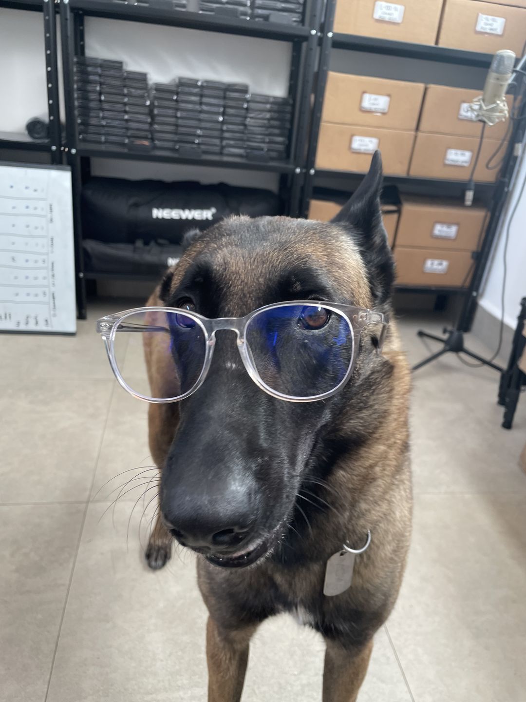 Customer photo review of Leo