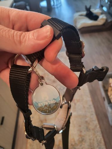 Customer photo review of Explorer