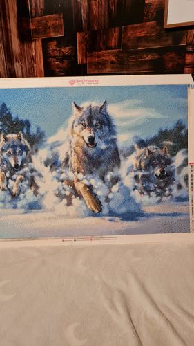 Customer photo review of 5D Diamond Painting Wolfsrudel