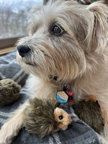 Customer photo review of Beach Silicone