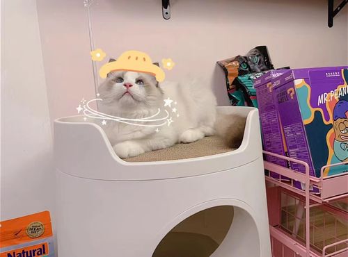 Customer photo review of Mayitwill XL Castle 2 in 1 Front-Entry Cat Litter Box with Scratch Basin, Scoop included, White