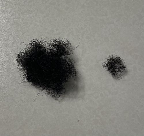 Customer photo review of Protein Treatment