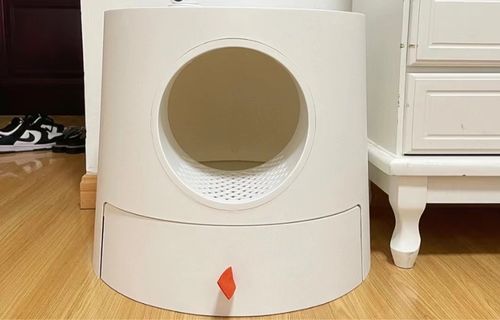 Customer photo review of Mayitwill XL Castle 2 in 1 Front-Entry Cat Litter Box with Scratch Basin, Scoop included, White