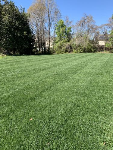 Customer photo review of 18-0-1 GreenePunch