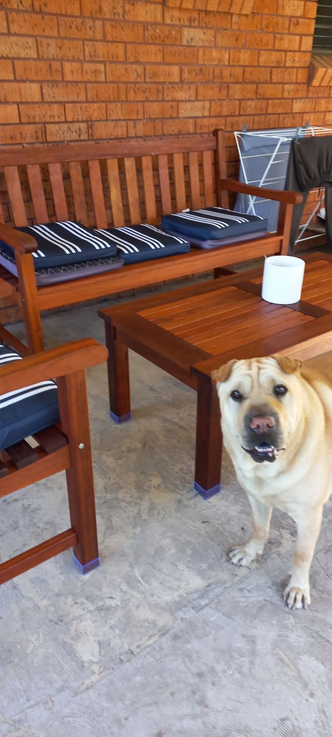 Customer photo review of Square Silicone Non Slip Floor Protector - Floor Protection