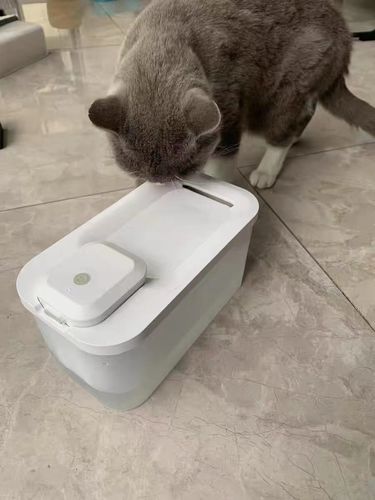 Customer photo review of Michu Cordless & Rechargeable Battery Operated Automatic Pet Water Fountain, Wireless and USB Charging