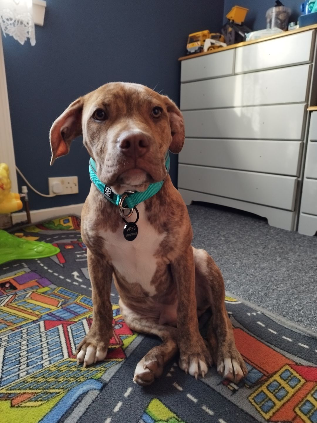 Customer photo review of ID Dog Tag - Black (With Gift Box)