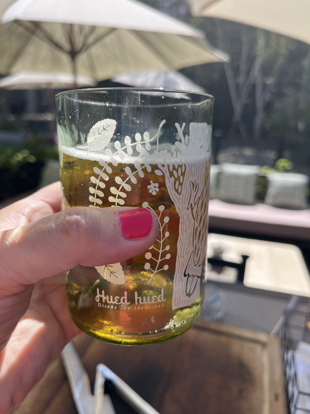 Customer photo review of Aves de Chile Juego de 4 Vasos