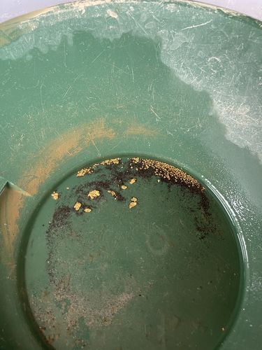 Customer photo review of *BOGO* Pioneer '2 OUNCE NUGGET HUNT' - Gold Panning Paydirt Concentrate