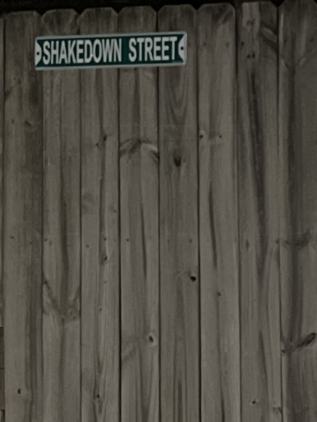 Customer photo review of Grateful Dead Shakedown Street Sign