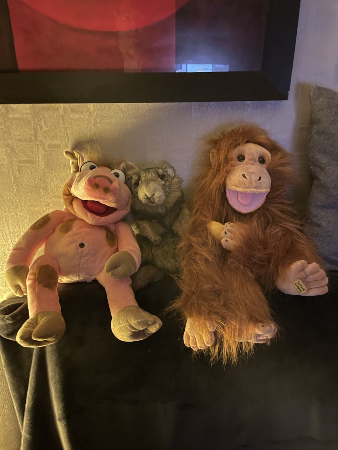 Customer photo review of Orang-Outan Singe Marionnette