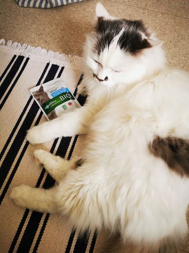 Customer photo review of Emincés [BIO] au saumon (chat adulte)