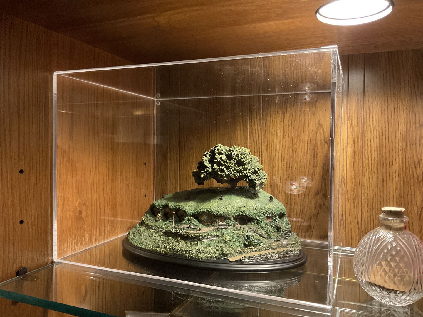 Customer photo review of Versatile Acrylic Display Case with Slide Back and Size Options