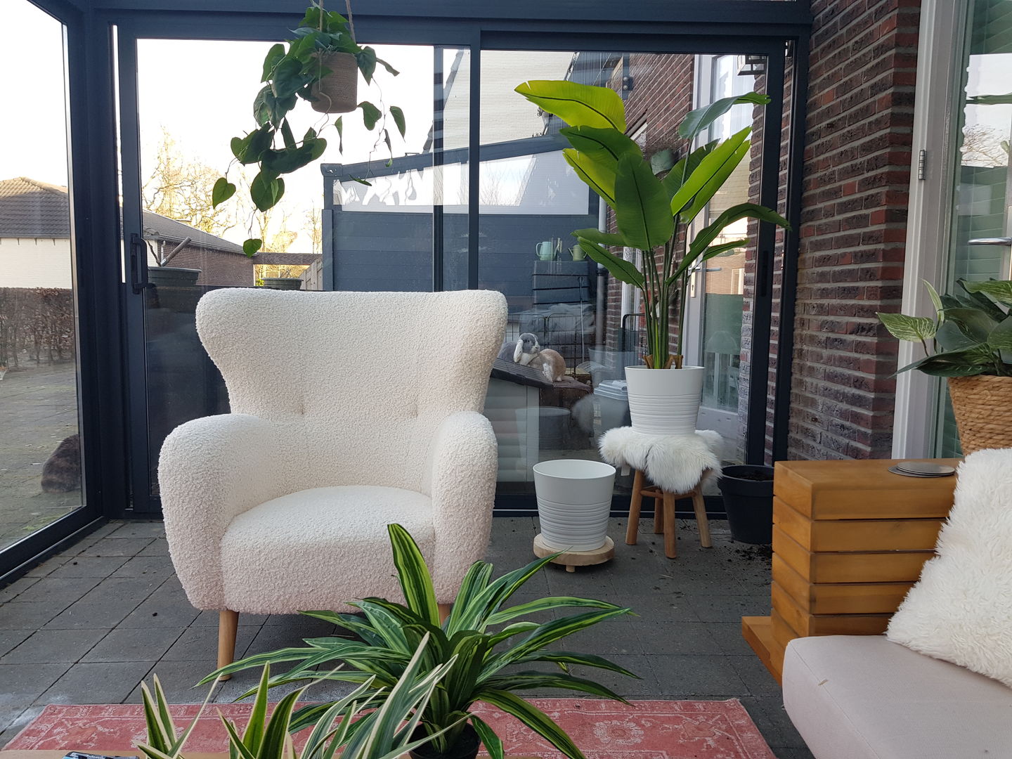 Customer photo review of Strelitzia Kunstplant 2 160cm
