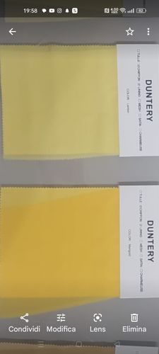 Customer photo review of DUNTERY Campioni di chiffon
