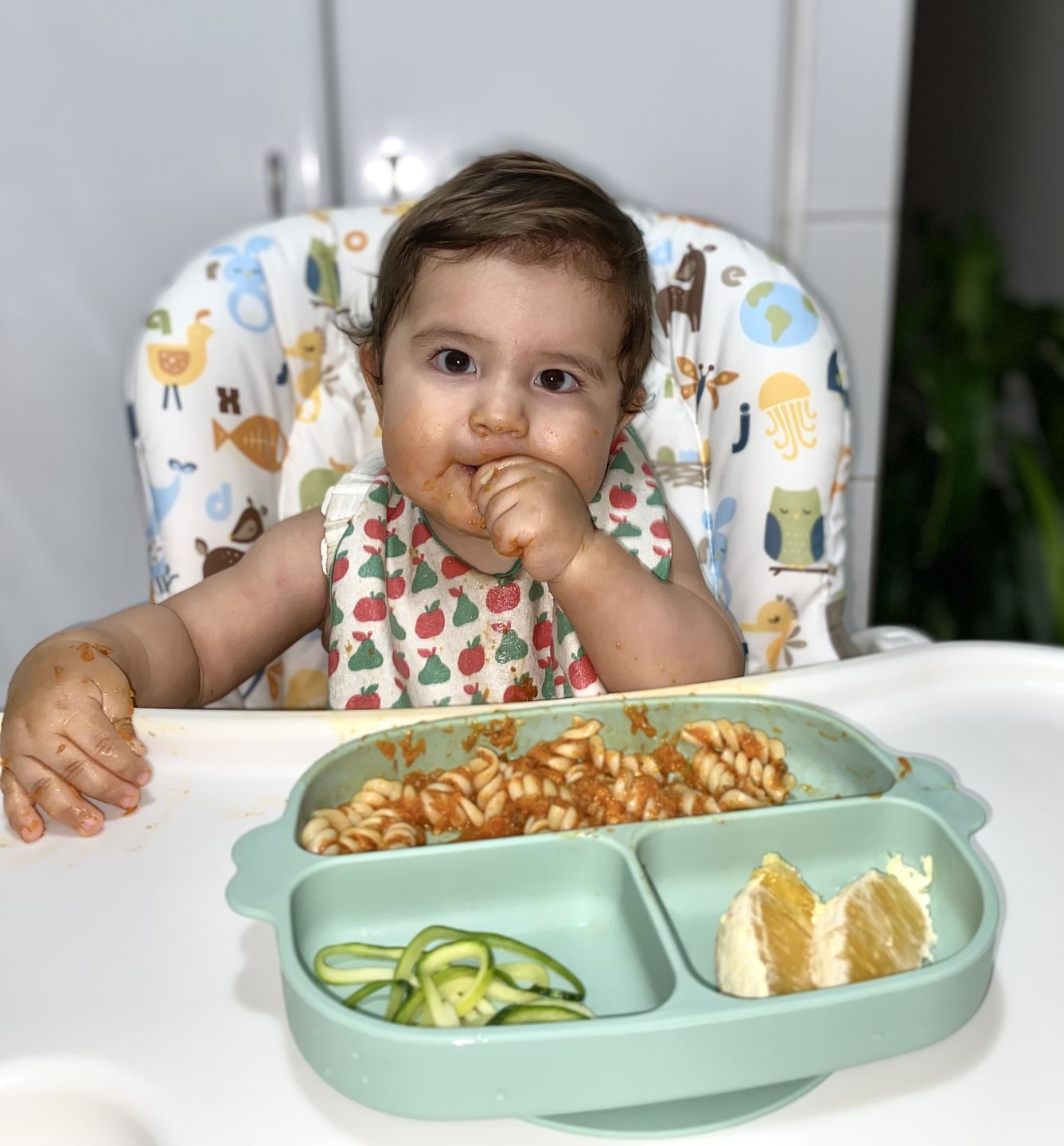 Customer photo review of Plato de silicona para bebé