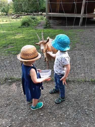Customer photo review of Kid's Barefoot Shoes Chaser Fast Ⅰ