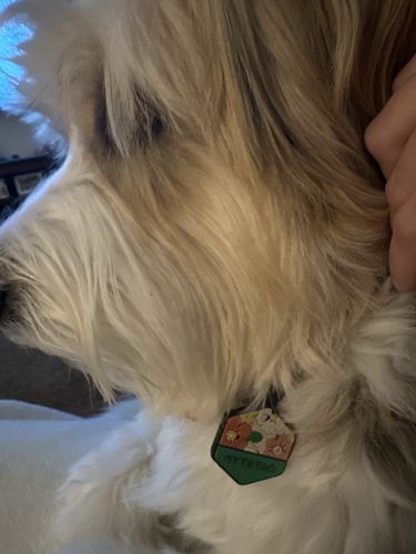 Customer photo review of Floral Silicone