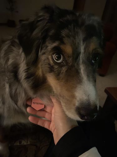 Customer photo review of Pink Silicone