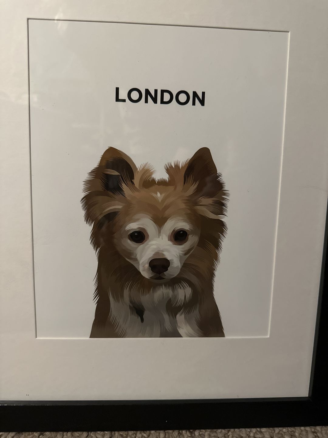 Customer photo review of Pet Portrait Poster (Unframed)