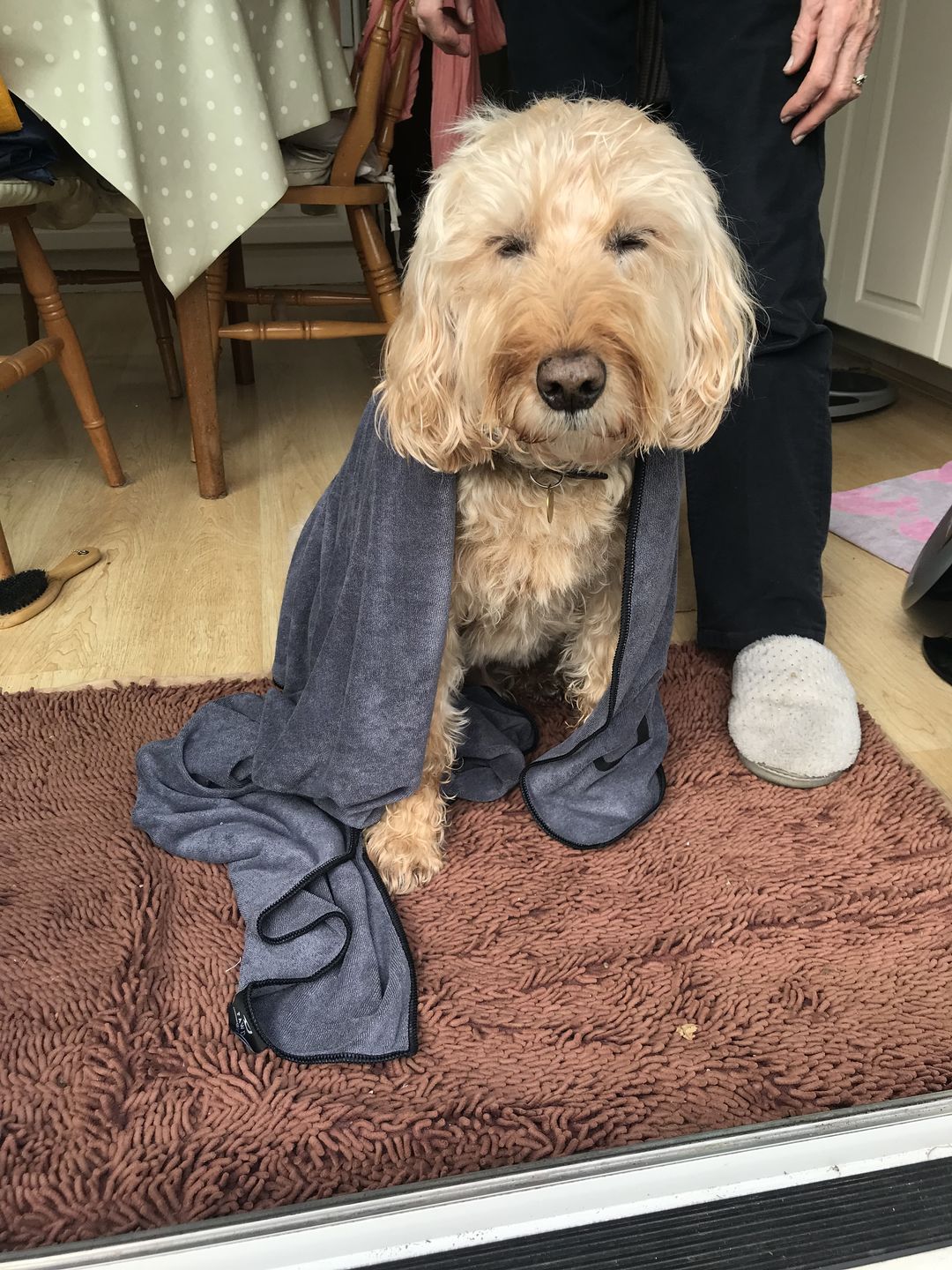 Customer photo review of Luxury Dog Towel